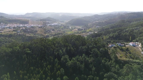 Terreno para Venda em Mafra