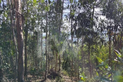 Terreno para Venda em Mafra
