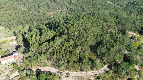 Terreno para Venda em Mafra