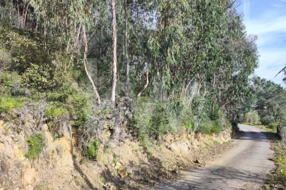 Terreno para Venda em Mafra