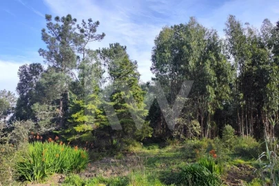 Terreno para Venda em Mafra