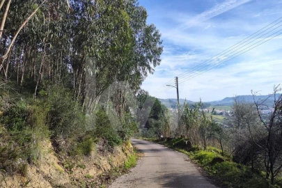 Terreno para Venda em Mafra