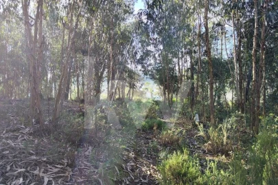 Terreno para Venda em Mafra