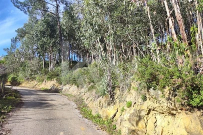 Terreno para Venda em Mafra