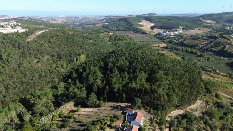 Terreno para Venda em Mafra