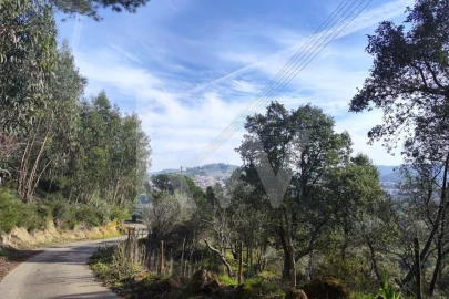 Terreno para Venda em Mafra