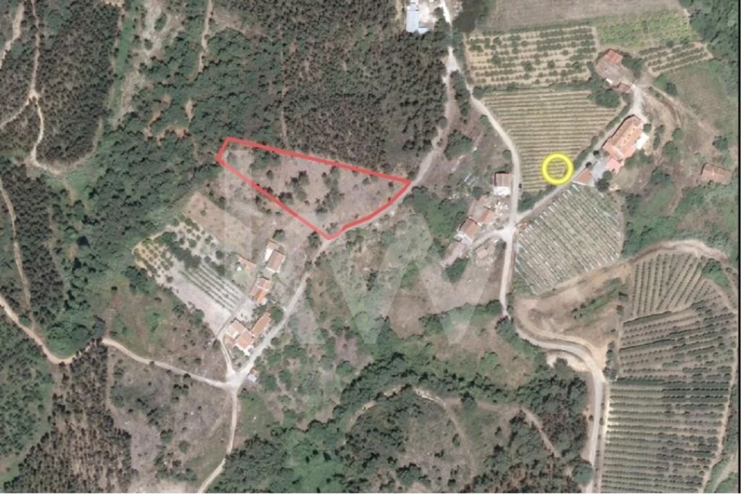 Terreno para Venda em Mafra Foto 29