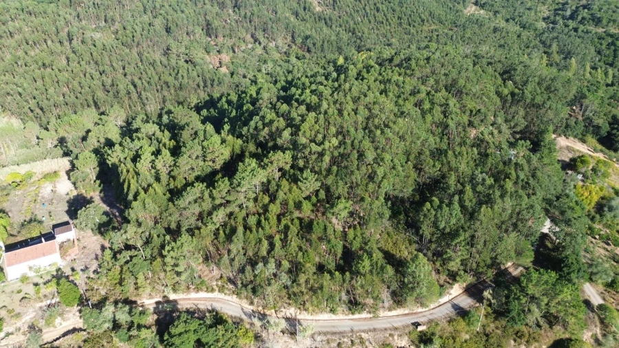 Terreno para Venda em Mafra Foto 19