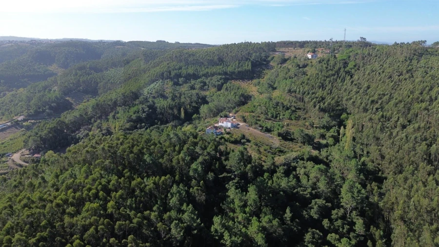 Terreno para Venda em Mafra Foto 23