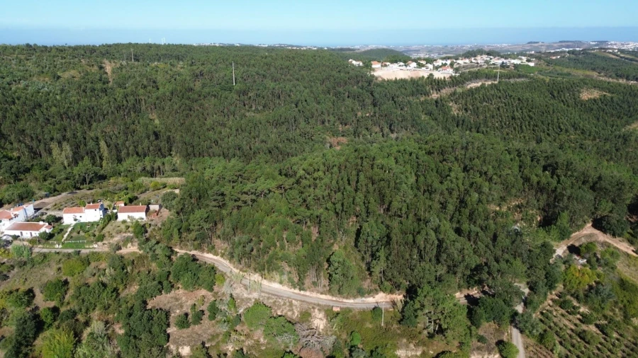 Terreno para Venda em Mafra Foto 22