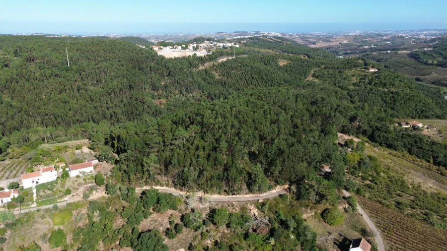 Terreno para Venda em Mafra Foto 21