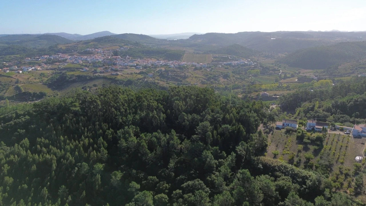 Terreno para Venda em Mafra Foto 26
