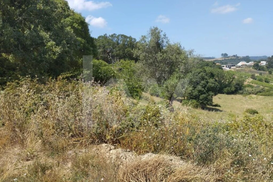 Terreno para Venda em Milharado Foto 17