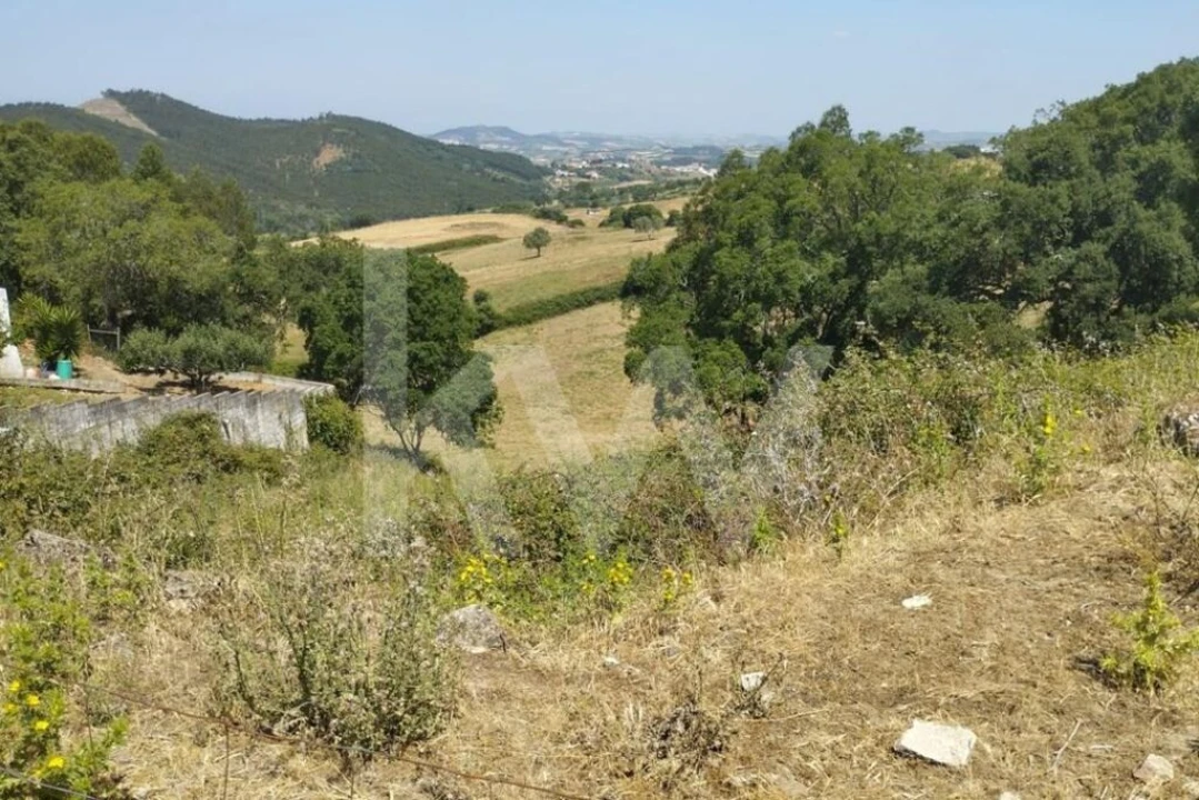 Terreno para Venda em Milharado Foto 18