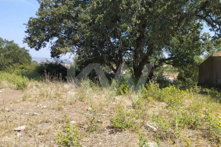 Terreno para Venda em Milharado Foto 26