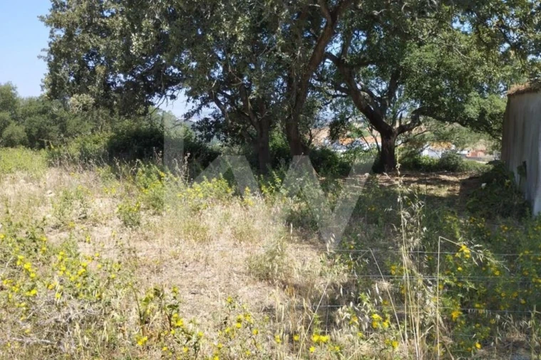 Terreno para Venda em Milharado Foto 22