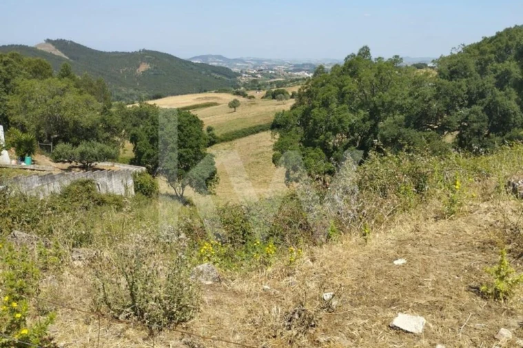 Terreno para Venda em Milharado Foto 18