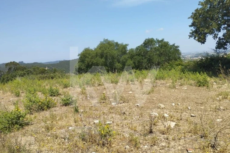 Terreno para Venda em Milharado Foto 29