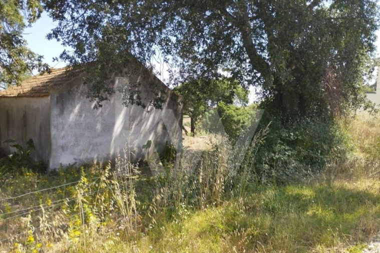 Terreno para Venda em Milharado Foto 24