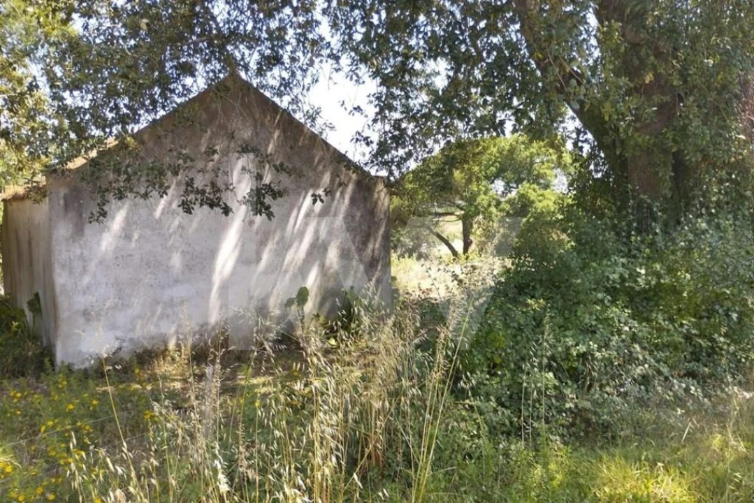 Terreno para Venda em Milharado Foto 1