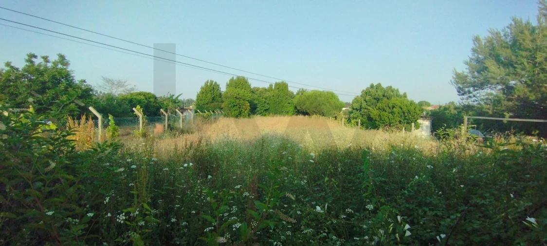 Moradia T3 para Venda em Oliveirinha Foto 13