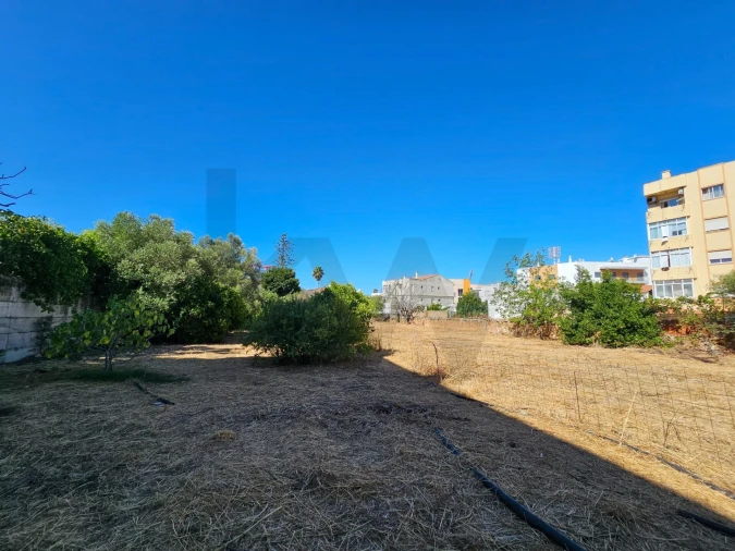 Terreno para Venda em Loule (São Clemente) Foto 17