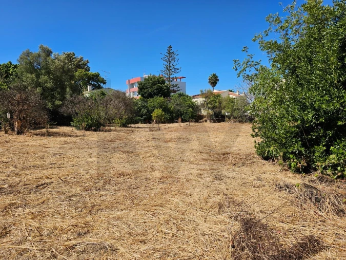 Terreno para Venda em Loule (São Clemente) Foto 20