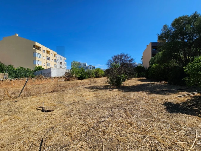 Terreno para Venda em Loule (São Clemente) Foto 19