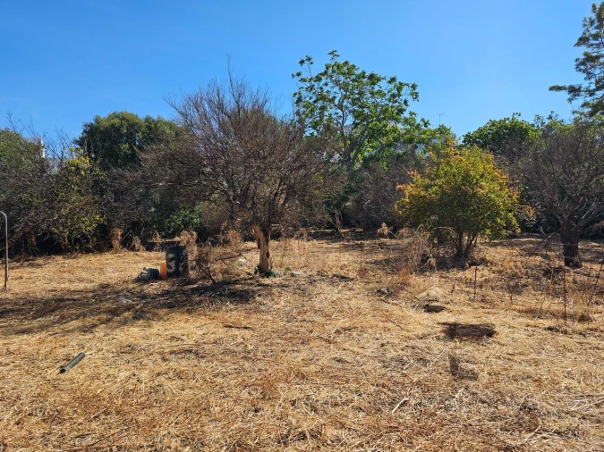 Terreno para Venda em Loule (São Clemente) Foto 21
