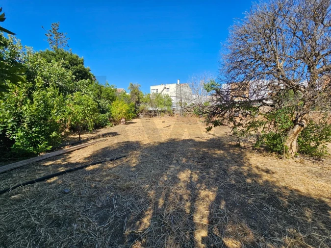 Terreno para Venda em Loule (São Clemente) Foto 18
