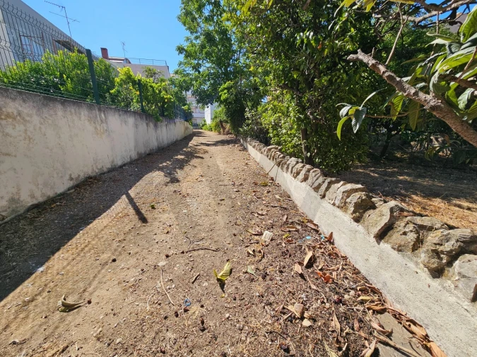 Terreno para Venda em Loule (São Clemente) Foto 7