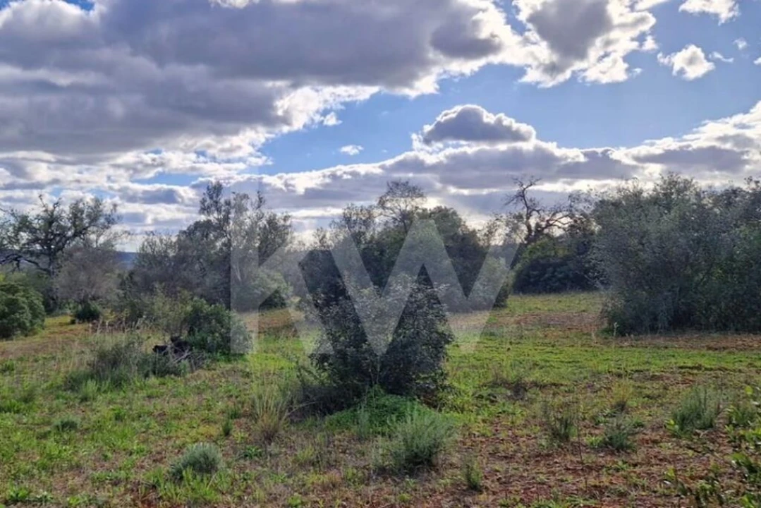 Moradia T2 para Venda em Querença, Tôr e Benafim Foto 6