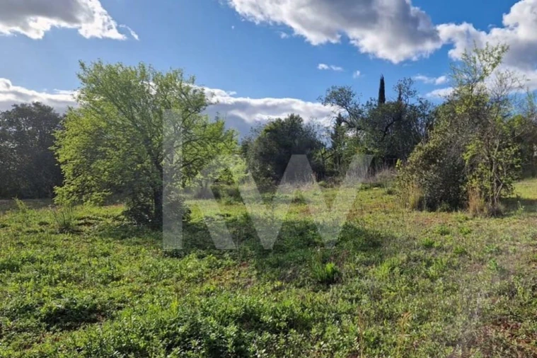 Moradia T2 para Venda em Querença, Tôr e Benafim Foto 12