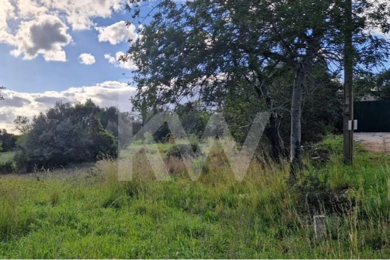 Moradia T2 para Venda em Querença, Tôr e Benafim Foto 9