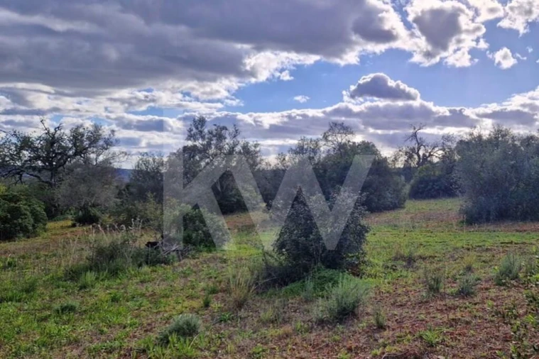 Moradia T2 para Venda em Querença, Tôr e Benafim Foto 13