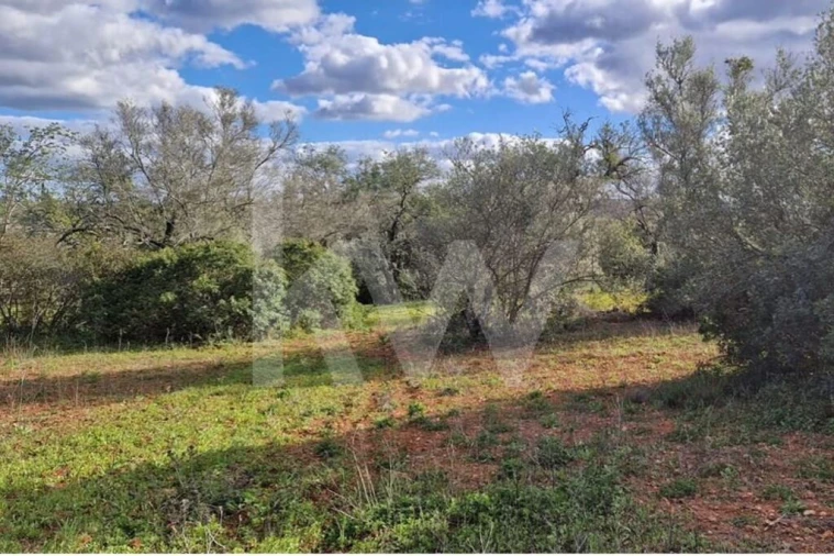 Moradia T2 para Venda em Querença, Tôr e Benafim Foto 11