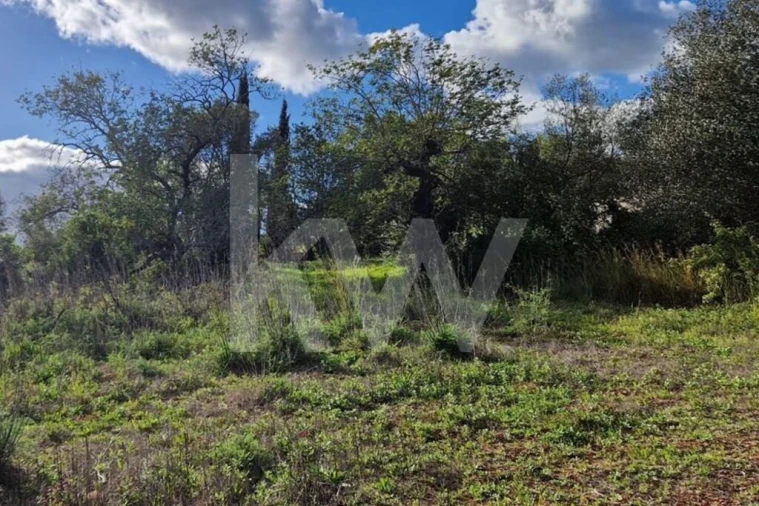 Moradia T2 para Venda em Querença, Tôr e Benafim Foto 14