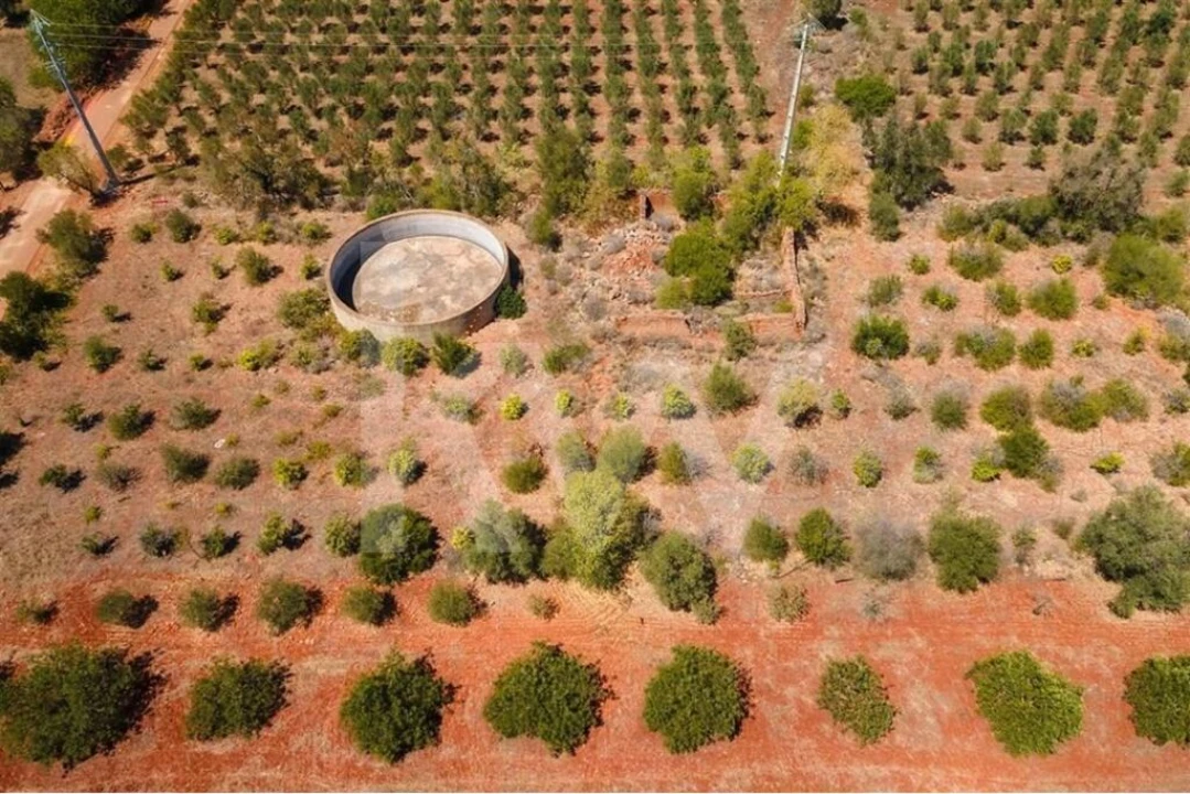Terreno para Venda em São Bartolomeu de Messines Foto 9
