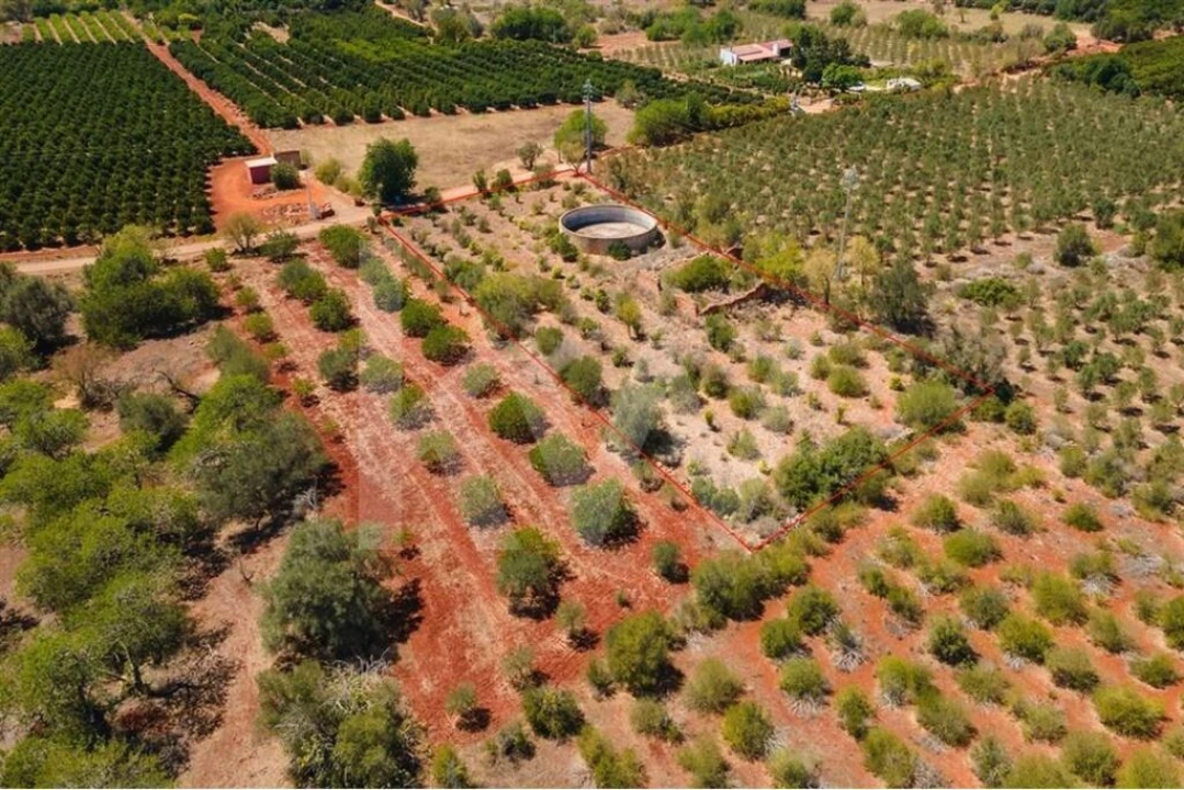 Terreno para Venda em São Bartolomeu de Messines Foto 11