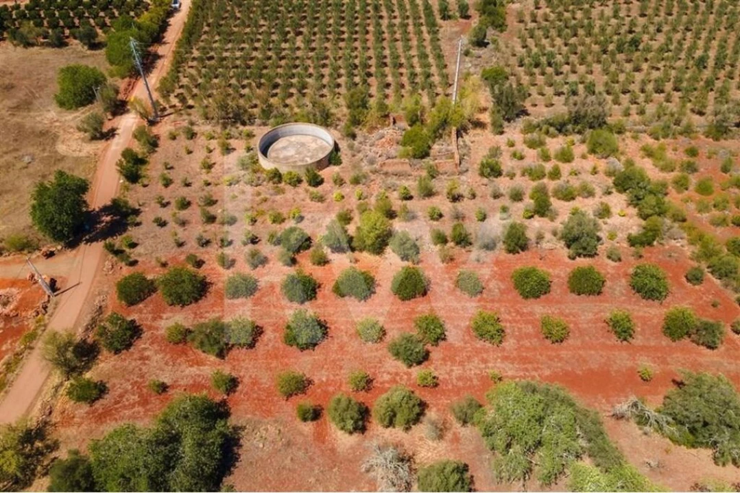 Terreno para Venda em São Bartolomeu de Messines Foto 7