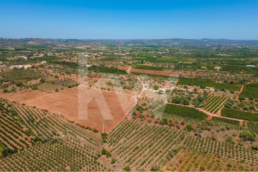 Terreno para Venda em São Bartolomeu de Messines Foto 23