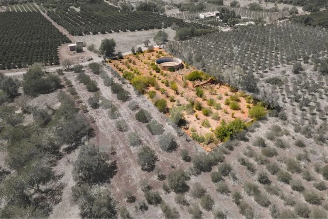 Terreno para Venda em São Bartolomeu de Messines Foto 2