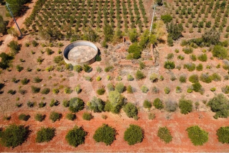 Terreno para Venda em São Bartolomeu de Messines Foto 9