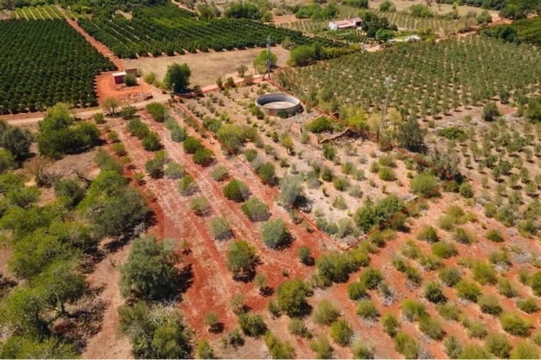 Terreno para Venda em São Bartolomeu de Messines Foto 11