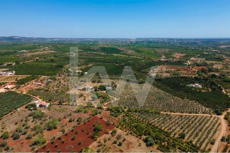 Terreno para Venda em São Bartolomeu de Messines Foto 24