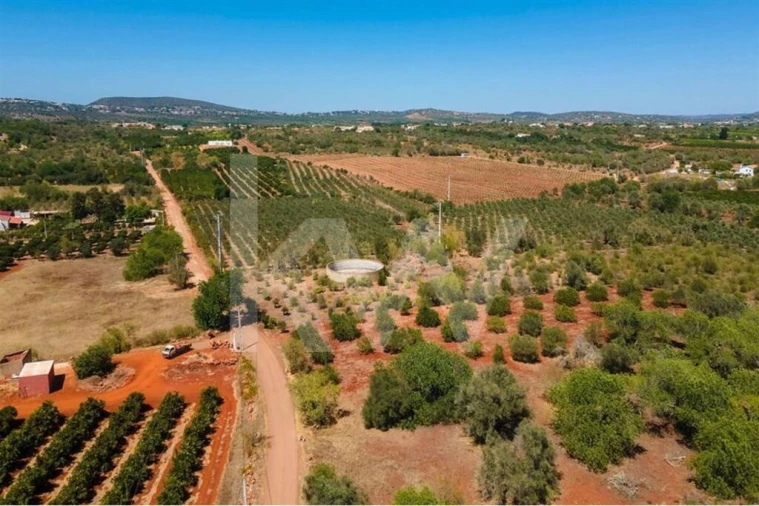 Terreno para Venda em São Bartolomeu de Messines Foto 21