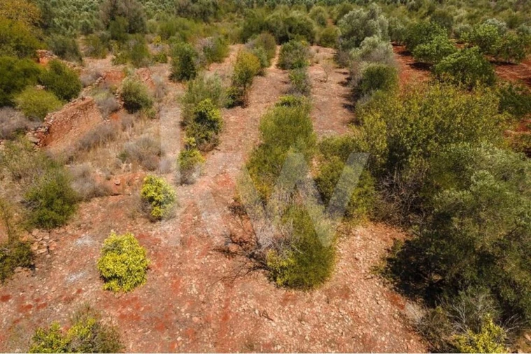 Terreno para Venda em São Bartolomeu de Messines Foto 18