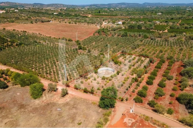 Terreno para Venda em São Bartolomeu de Messines Foto 6