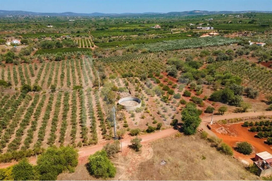 Terreno para Venda em São Bartolomeu de Messines Foto 3