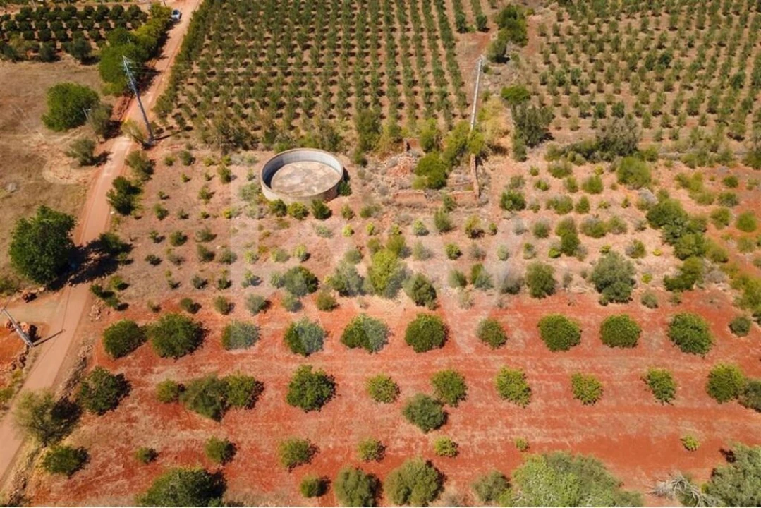 Terreno para Venda em São Bartolomeu de Messines Foto 8